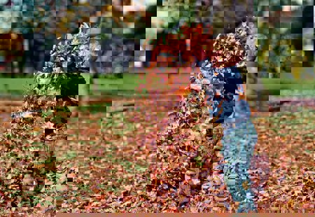 A small child playing in autumn leaves.