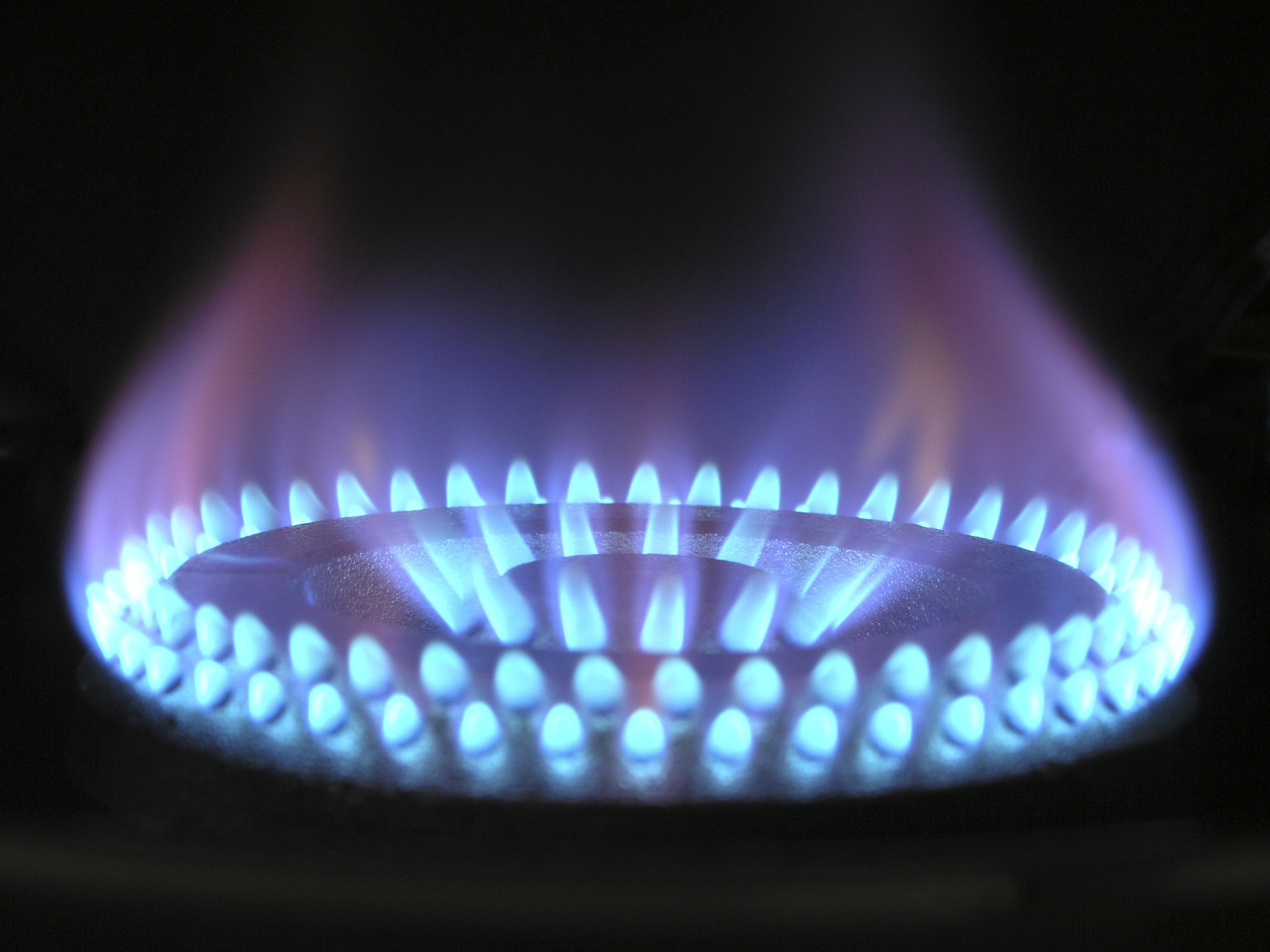 Close up of blue flames coming out of a gas hob Close up of blue flames coming out of a gas hob