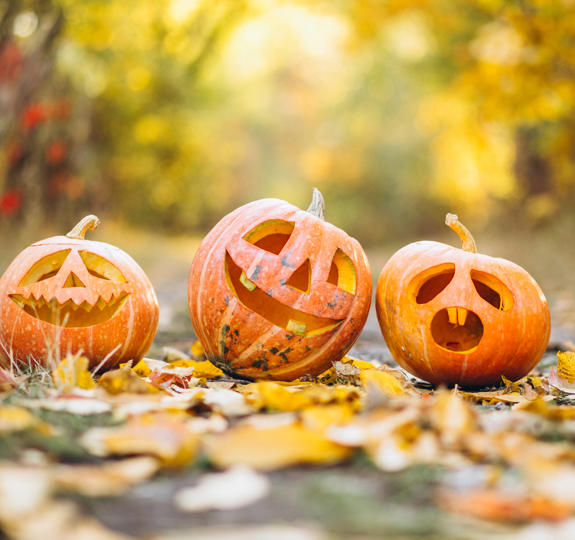 Three Cute Halloween Pumpkins Autumn Park