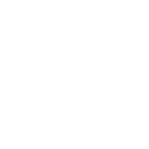 Flower 01