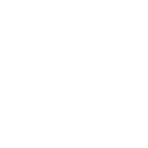 Shield 01 01 01