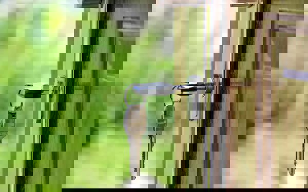 Close up photo of a key inserted in a door lock. We can see a garden in the background where the door is open